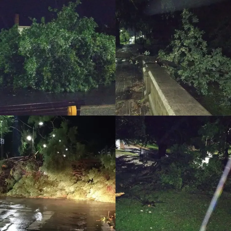 WhatsApp Image 2024-03-20 at 09.03.25 (1)