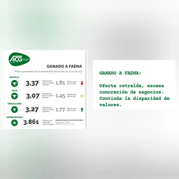 WhatsApp Image 2024-02-13 at 14.05.50