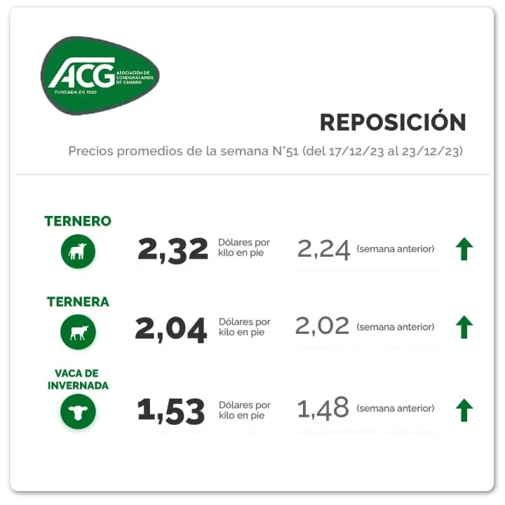 WhatsApp Image 2023-12-27 at 14.10.47