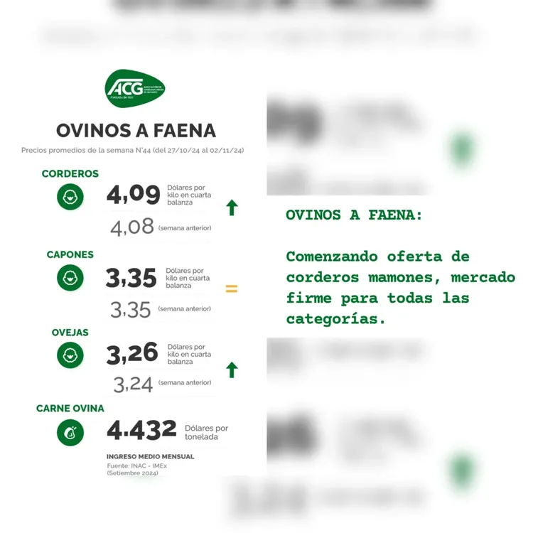 InShot_20241105_094420450