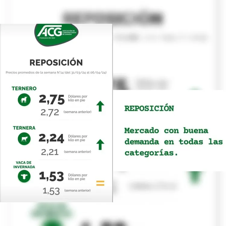 InShot_20240409_092013823