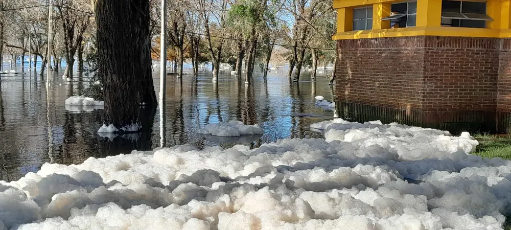 WhatsApp Image 2024-05-20 at 10.53.17