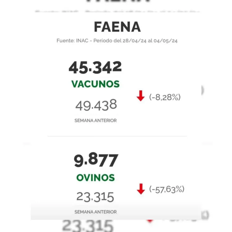 WhatsApp Image 2024-05-07 at 15.39.19 (1)