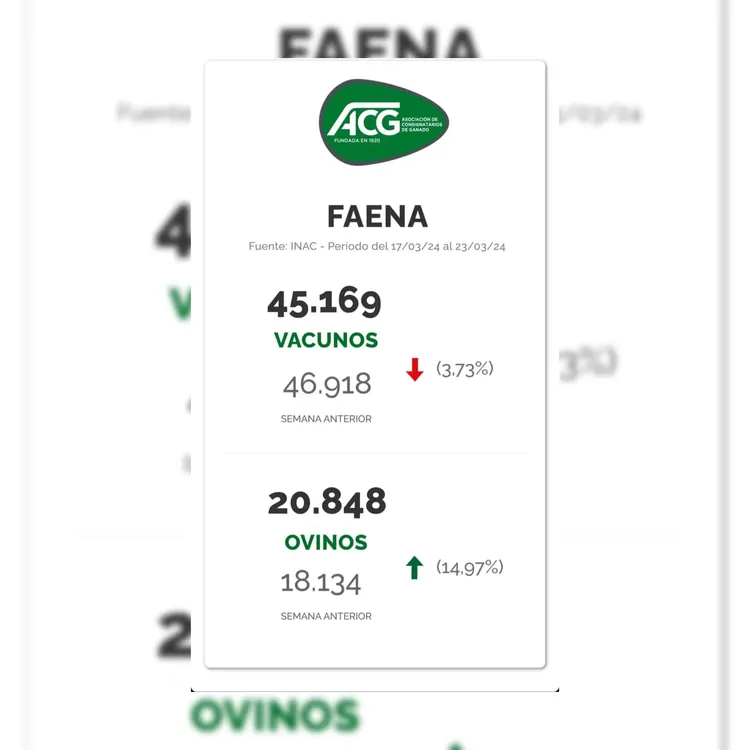 WhatsApp Image 2024-03-26 at 09.41.14 (1)