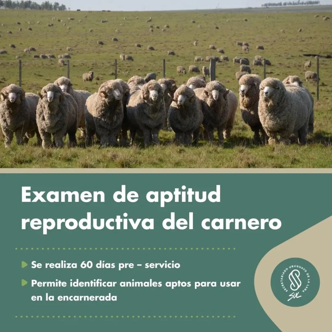 FB_IMG_1768849616593