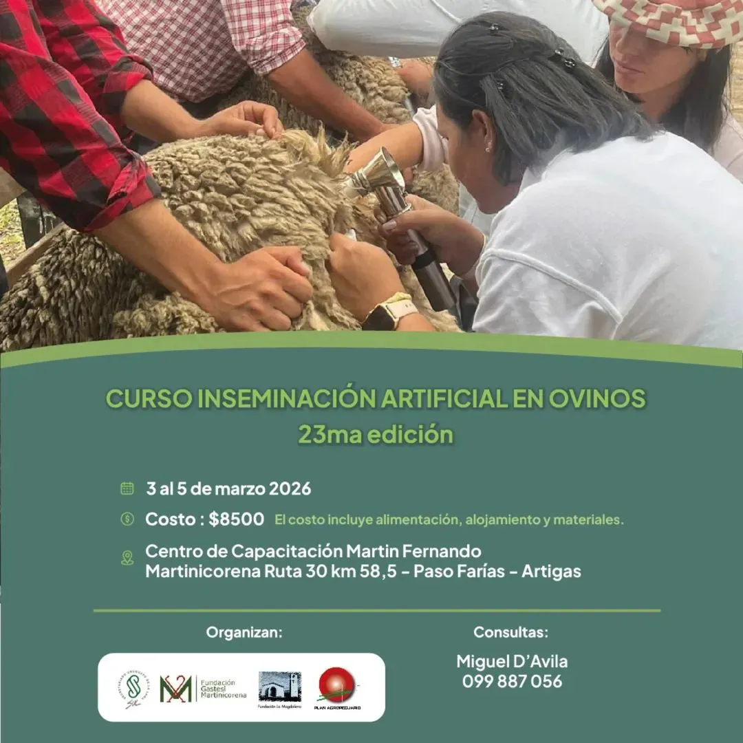 FB_IMG_1768937721560