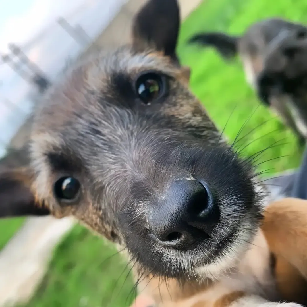 448588363_495420482837049_4123809893021120302_n