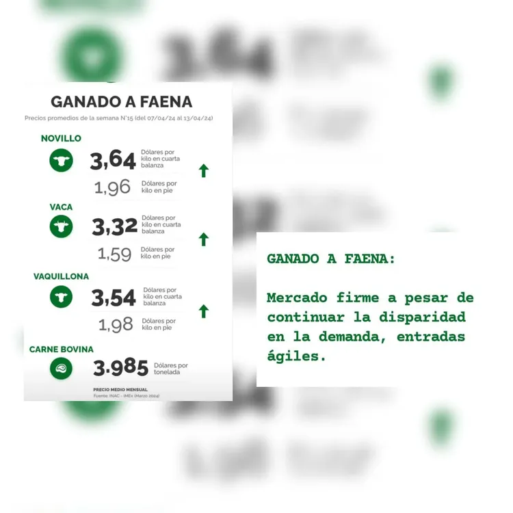 InShot_20240415_215801452