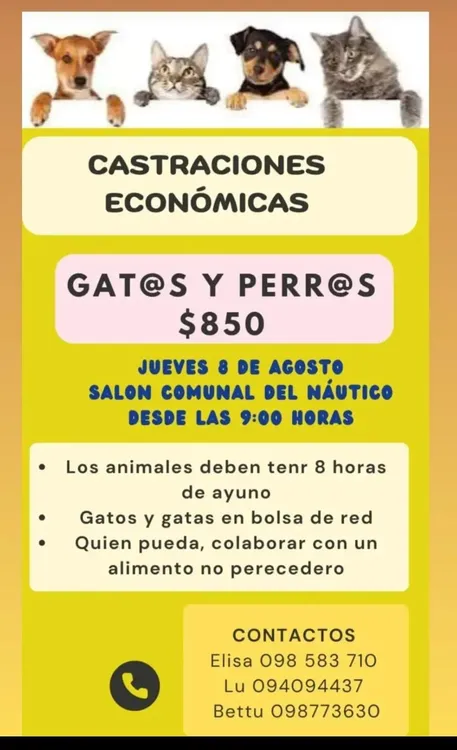 WhatsApp Image 2024-07-31 at 09.52.09