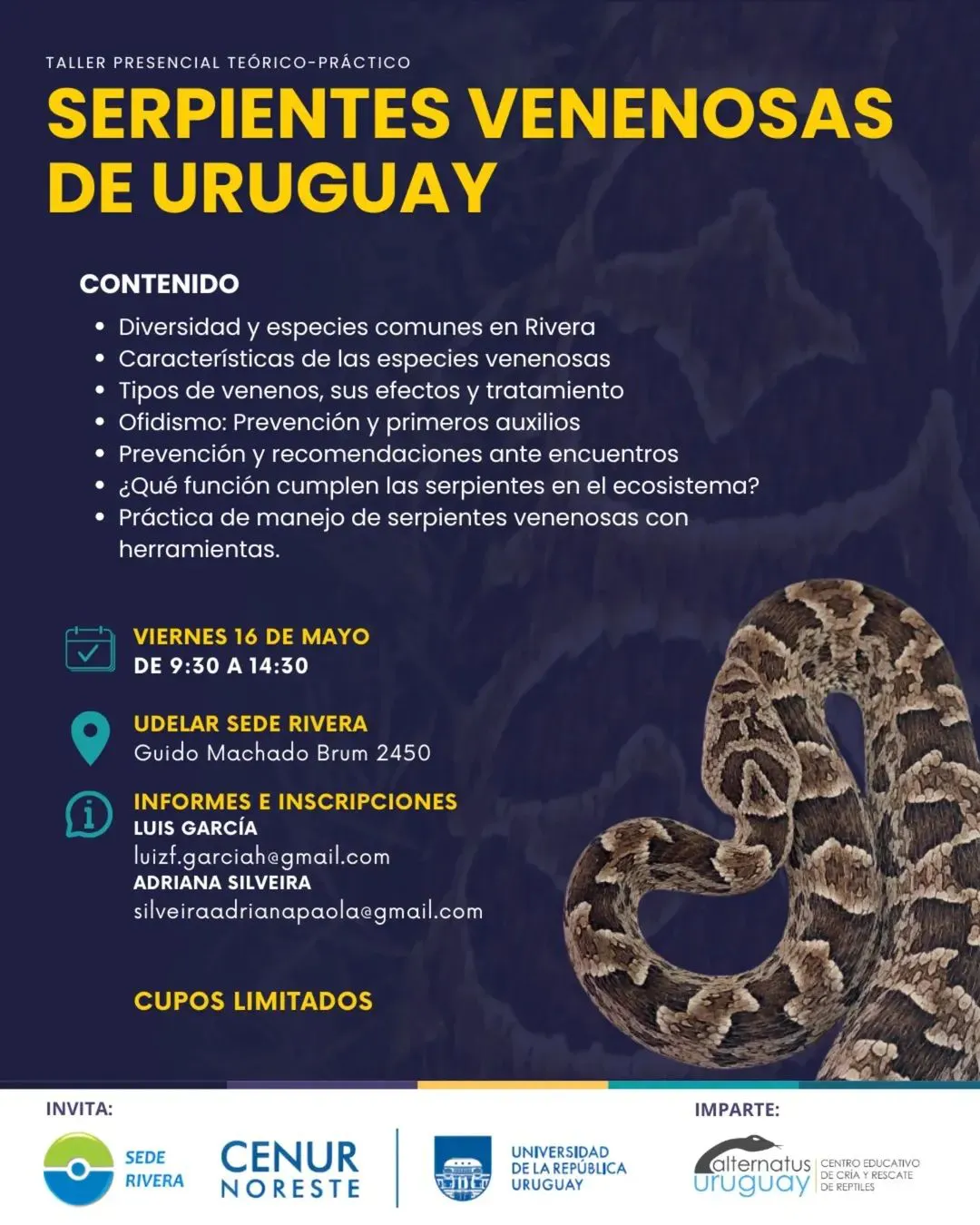 FB_IMG_1746867194658