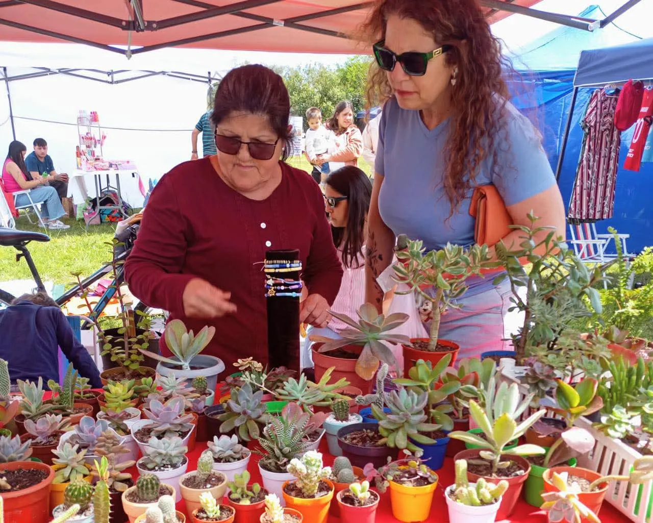 FB_IMG_1760308221692