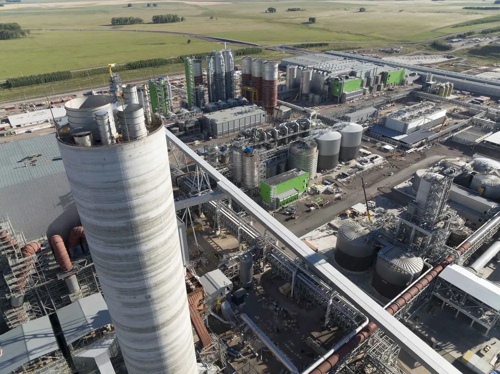 upm-paso-de-los-toros-2