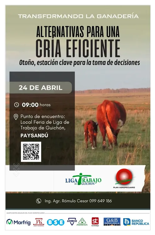 FB_IMG_1744999985281