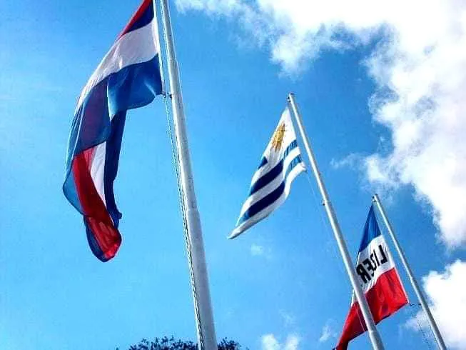 FB_IMG_1689203952646