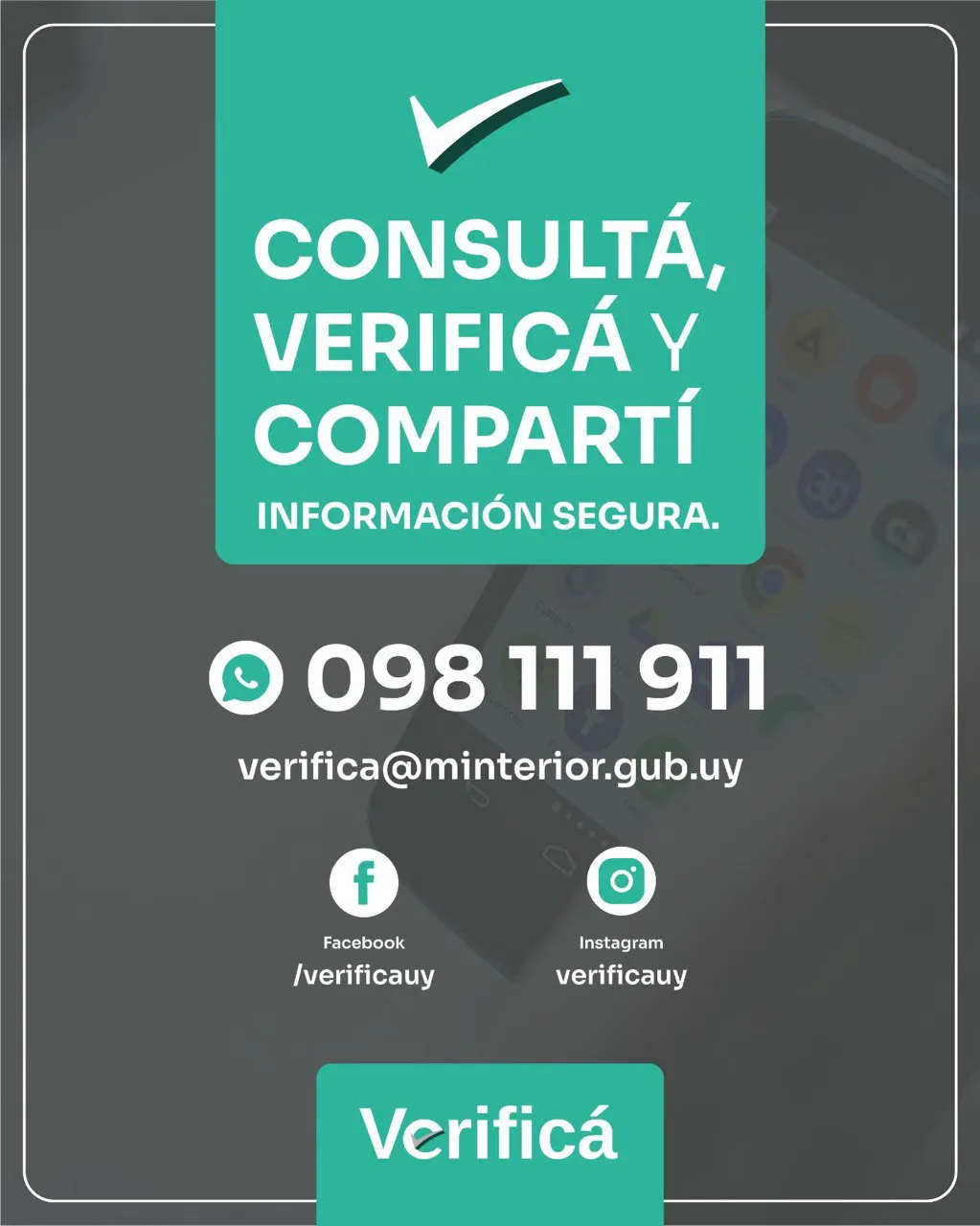 IMG_20250911_134519_829