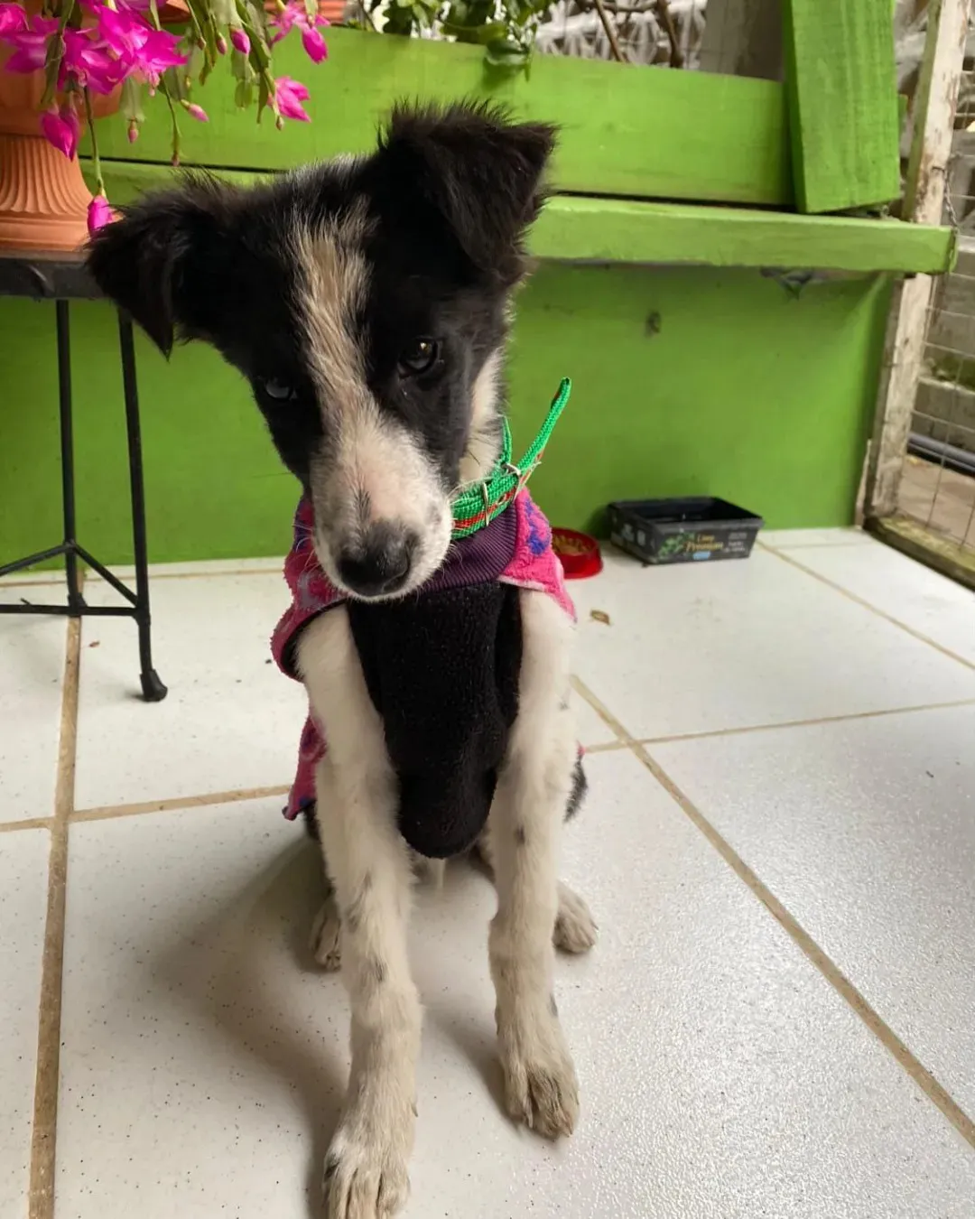 447296341_489064696805961_3989702315938581657_n