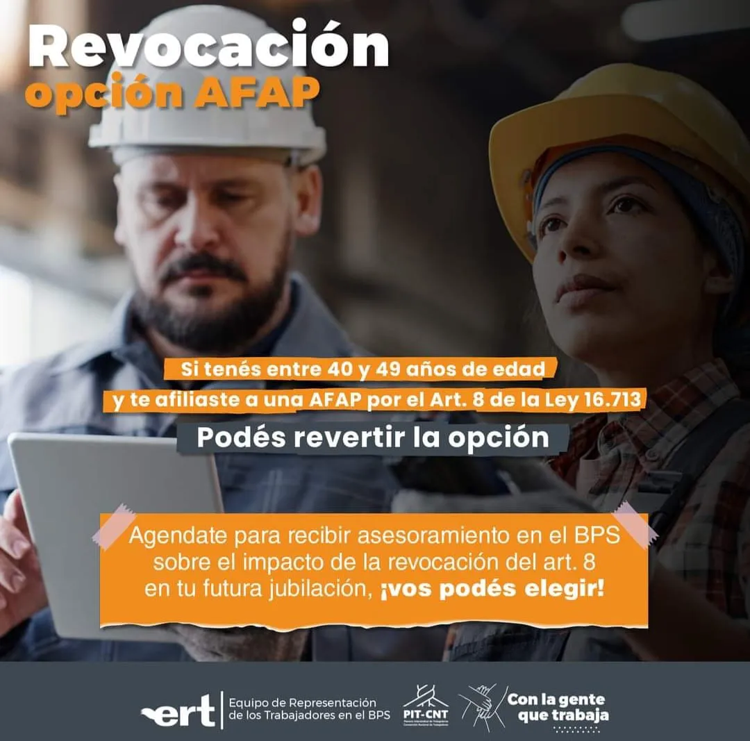 WhatsApp Image 2023-08-03 at 17.51.56