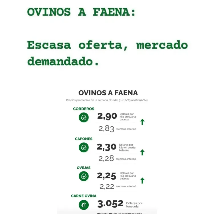 WhatsApp Image 2024-01-09 at 11.01.22