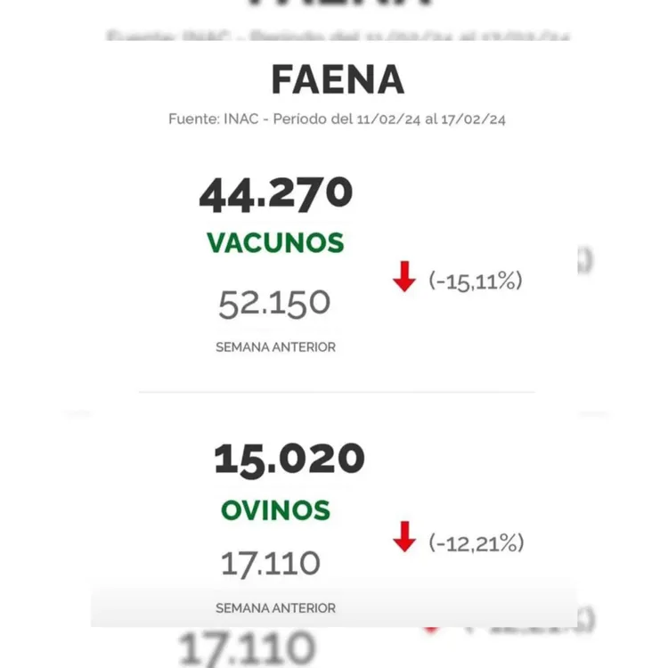 WhatsApp Image 2024-02-20 at 08.52.31