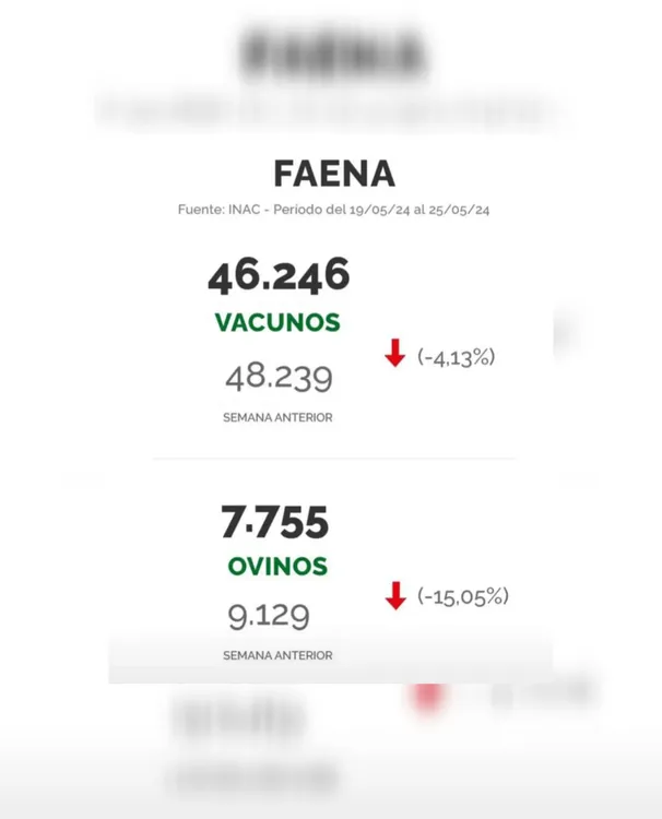 WhatsApp Image 2024-05-28 at 09.18.59