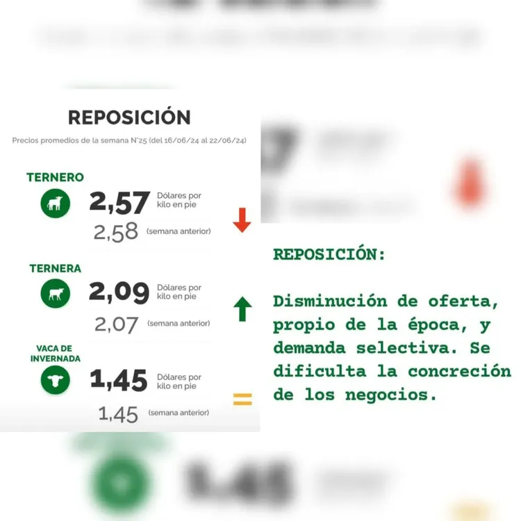 WhatsApp Image 2024-06-25 at 11.04.11