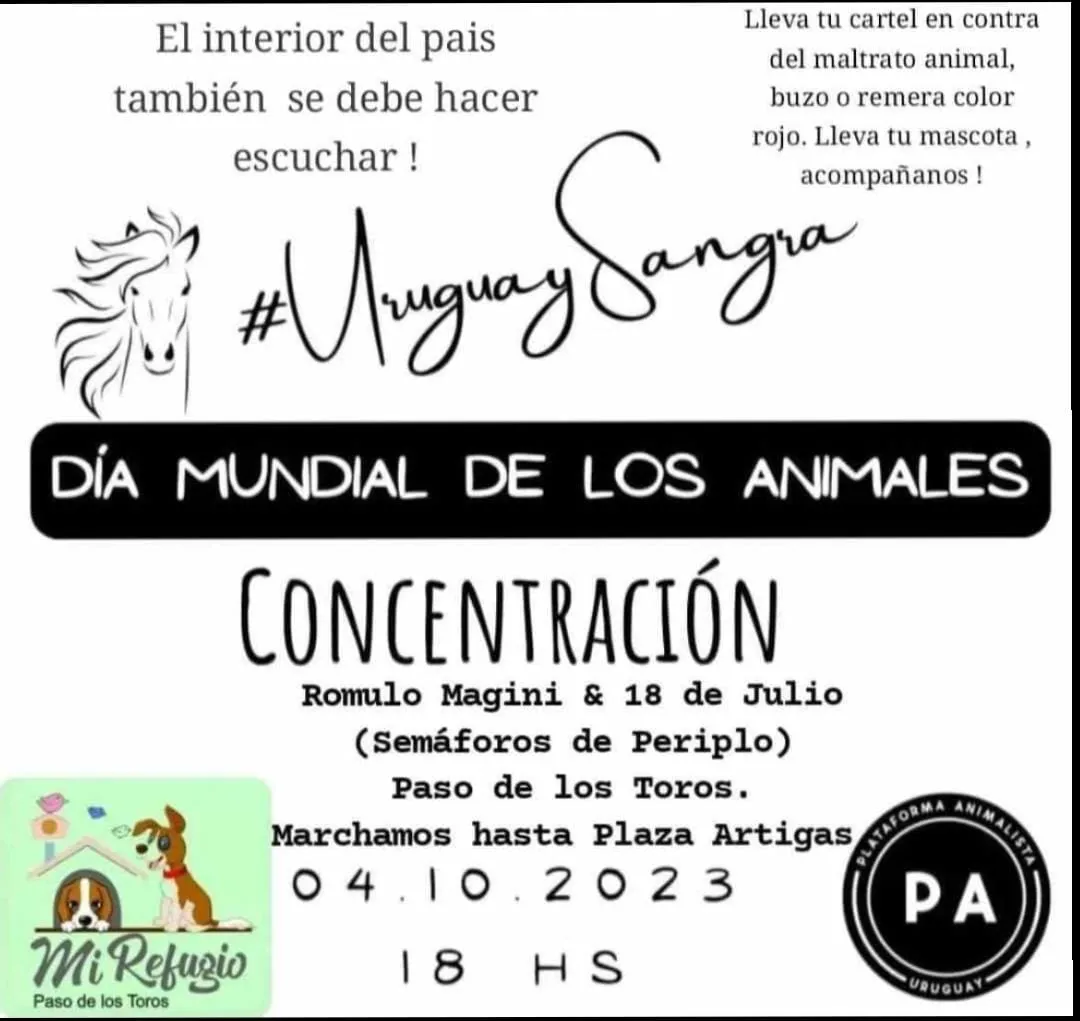 WhatsApp Image 2023-09-27 at 10.24.47