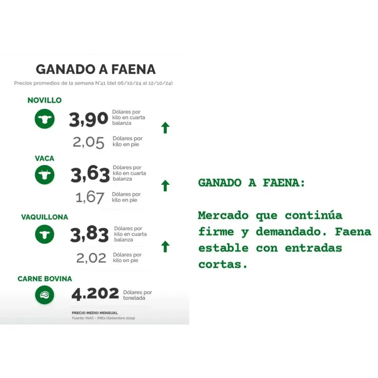 InShot_20241014_221547557