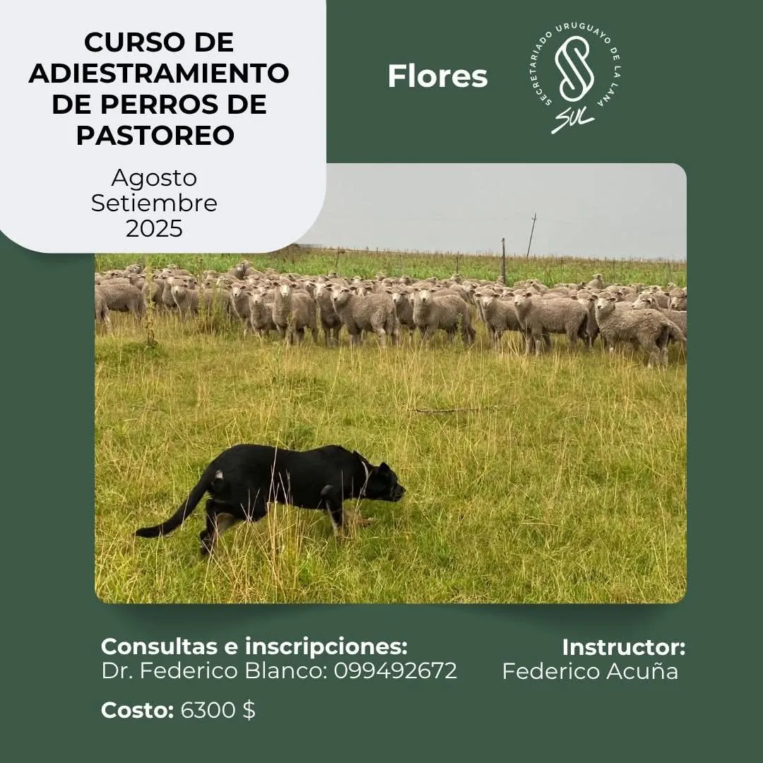 FB_IMG_1753307463204