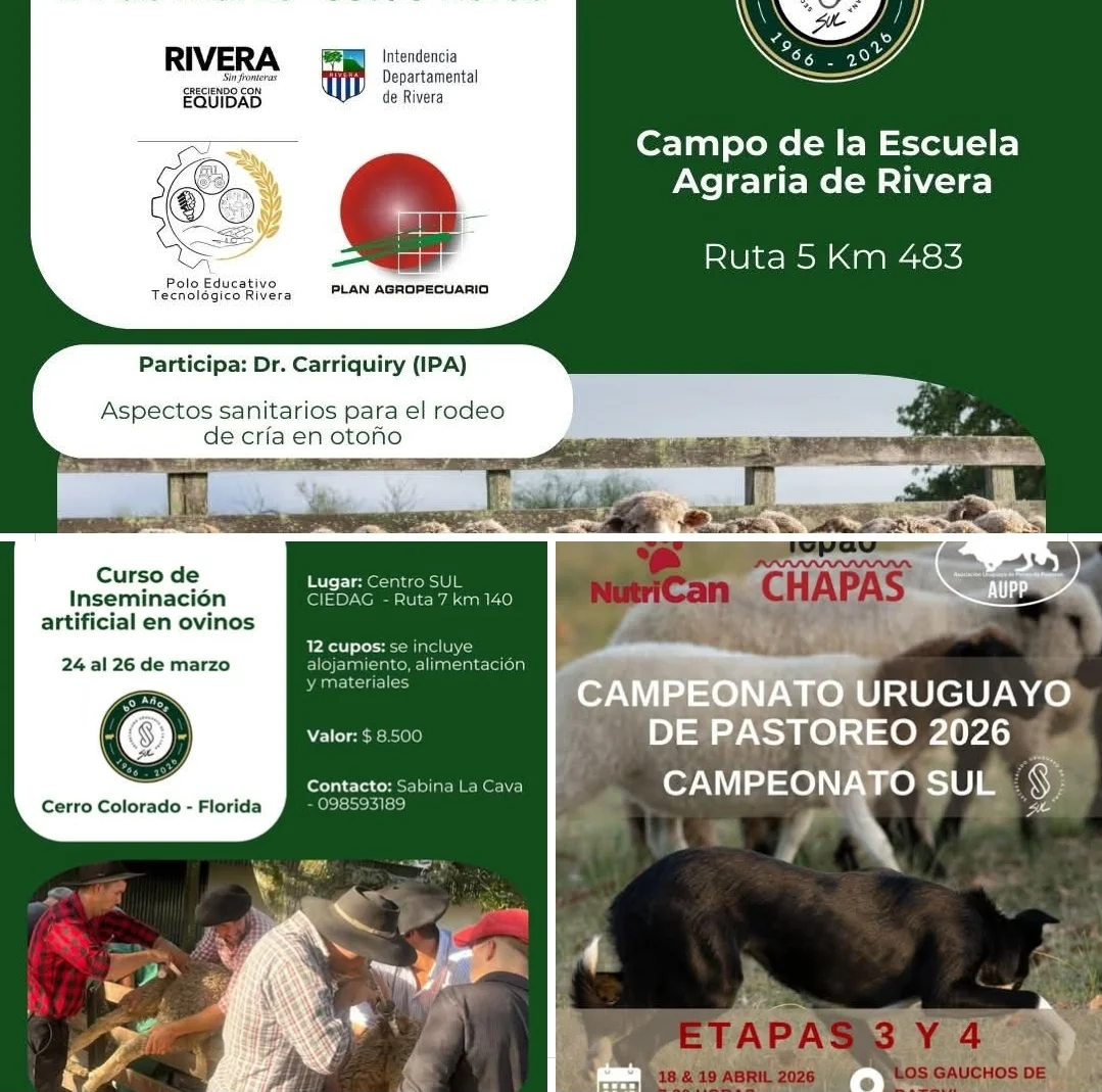 Screenshot_20260320_172400_Facebook