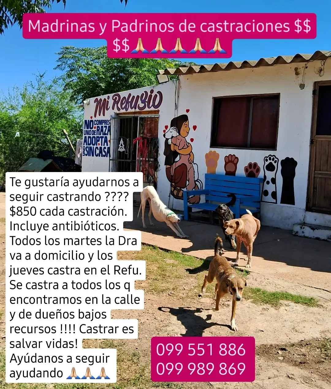 440157030_469129908799440_6442855294237425199_n