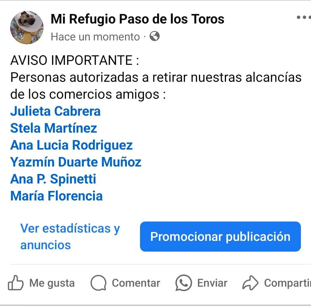 WhatsApp Image 2024-08-05 at 18.12.19