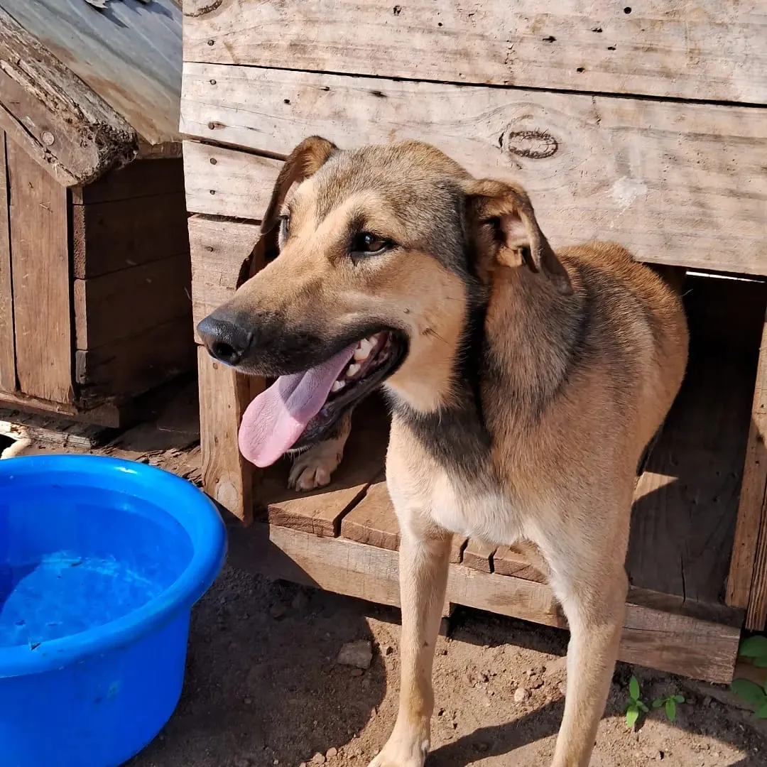 WhatsApp Image 2024-01-02 at 14.55.02