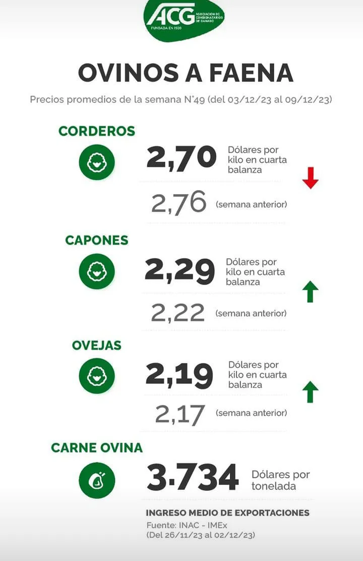 WhatsApp Image 2023-12-12 at 12.04.46 (1)