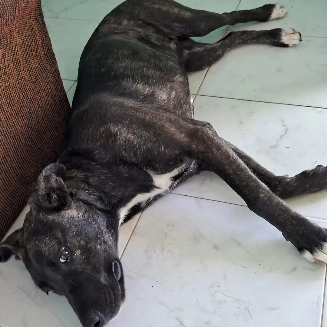 WhatsApp Image 2024-02-05 at 09.12.04 (1)