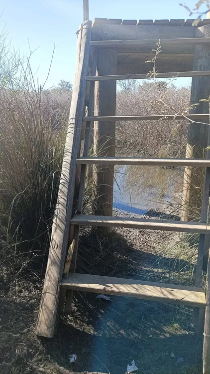 453501155_500565382615149_1786307157657452914_n