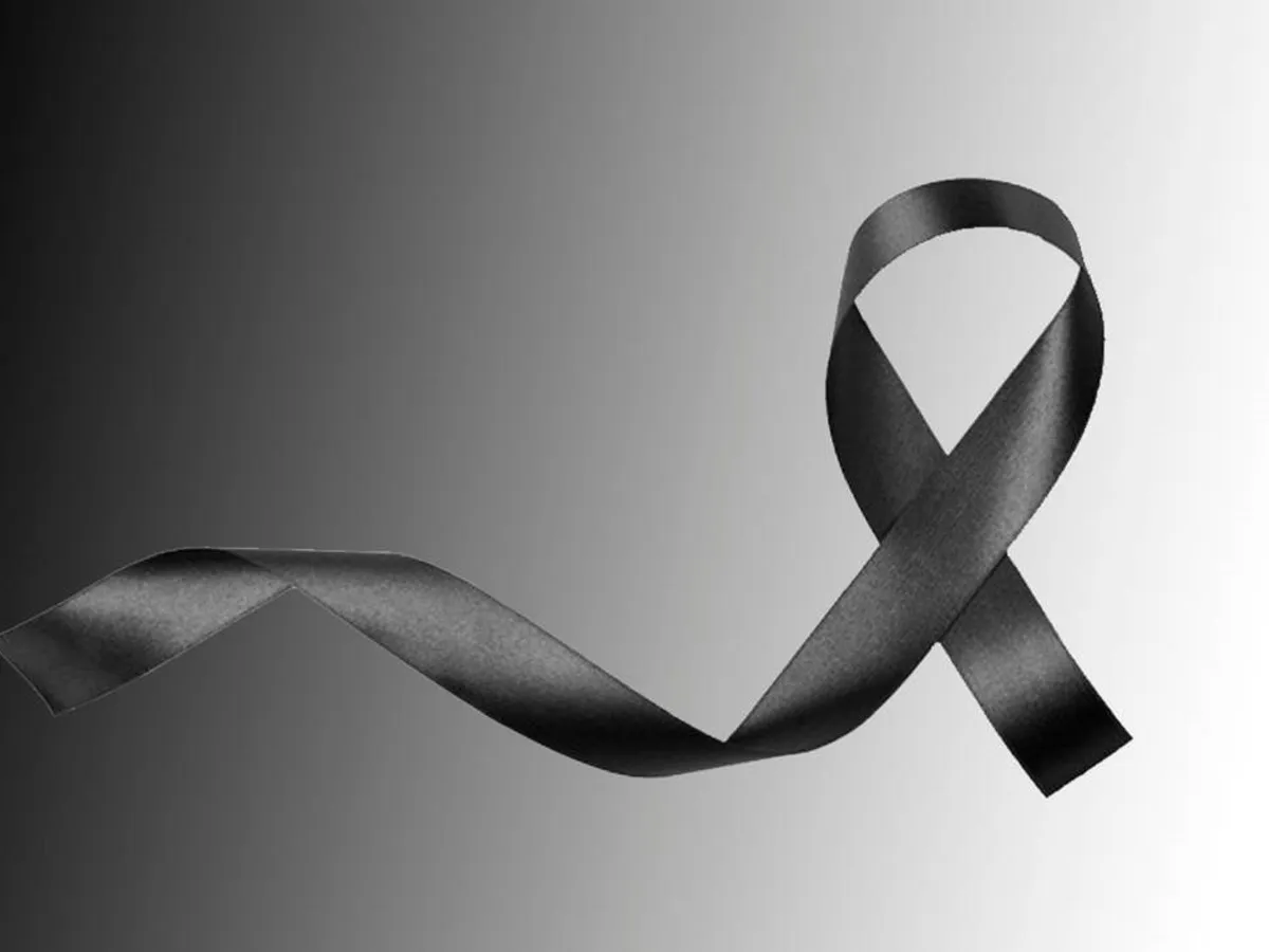 multimedia.normal.91270a2b47c01a0b.bGF6by53ZWJw