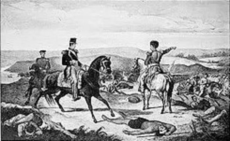 CAMPAÑA ROSAS DESIERTO