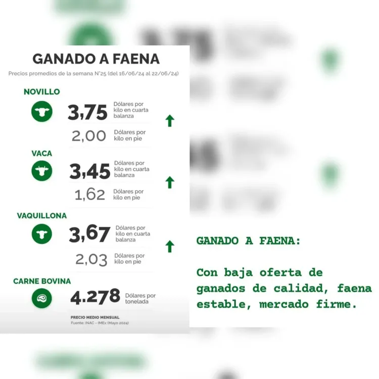 WhatsApp Image 2024-06-25 at 11.04.10