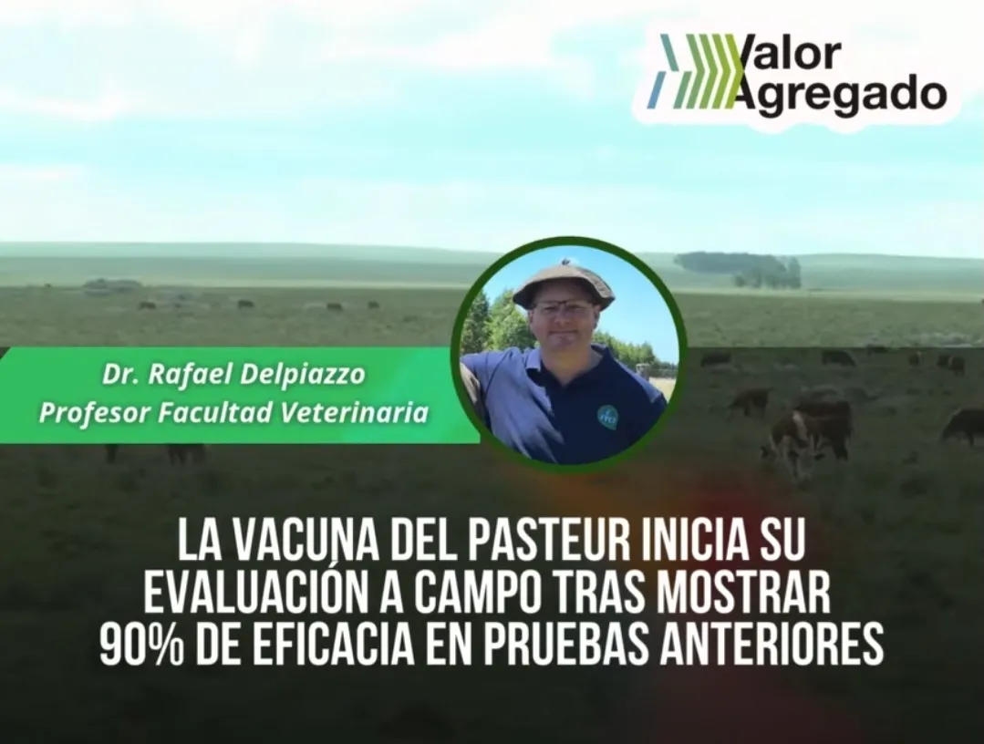 Screenshot_20251218_195253_Facebook