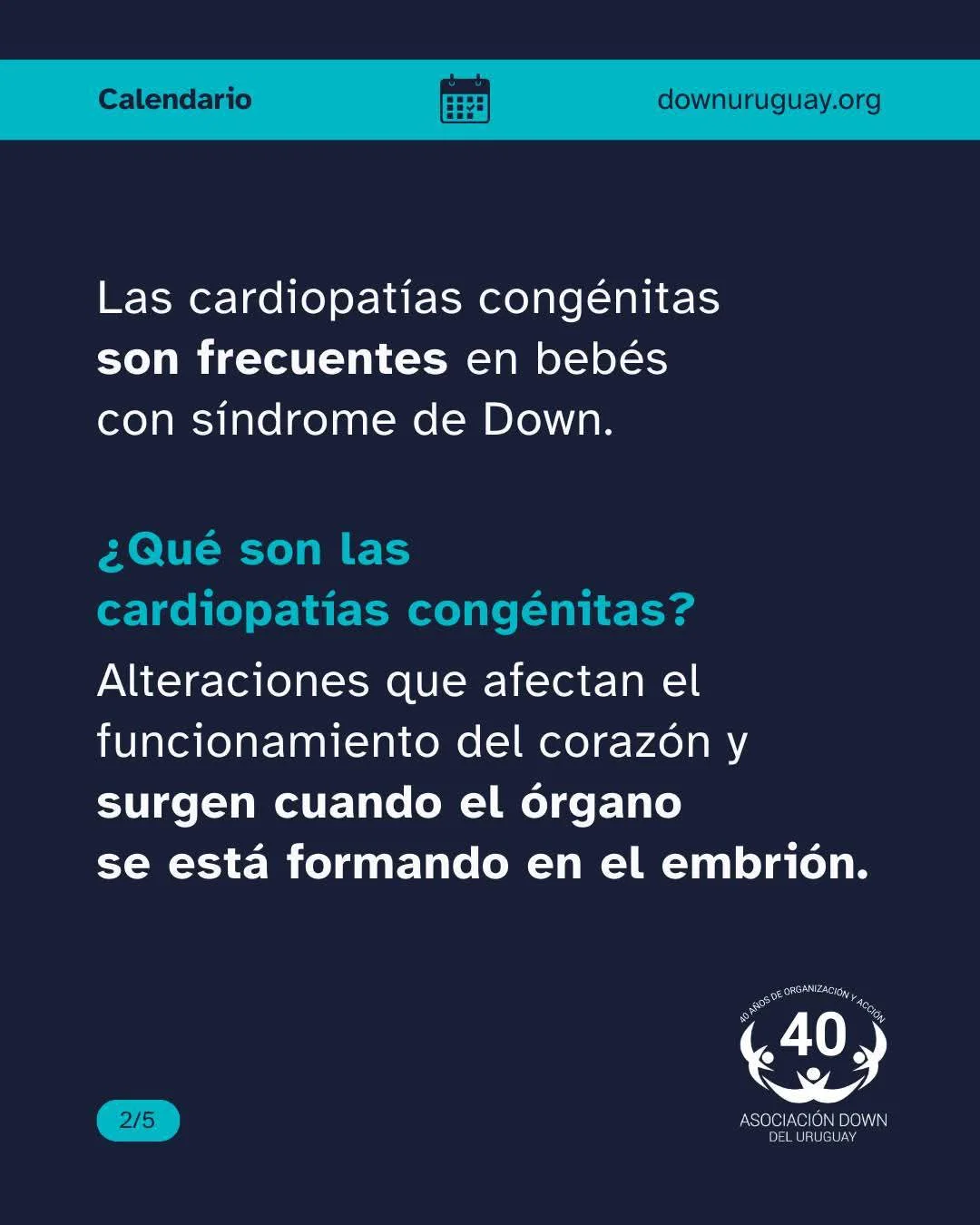 FB_IMG_1771072738130