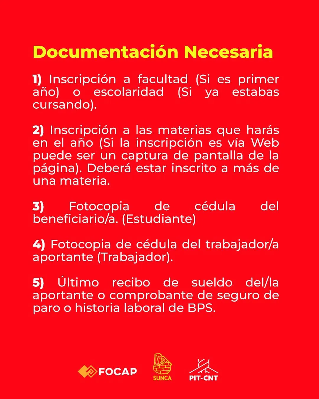 FB_IMG_1738180701946