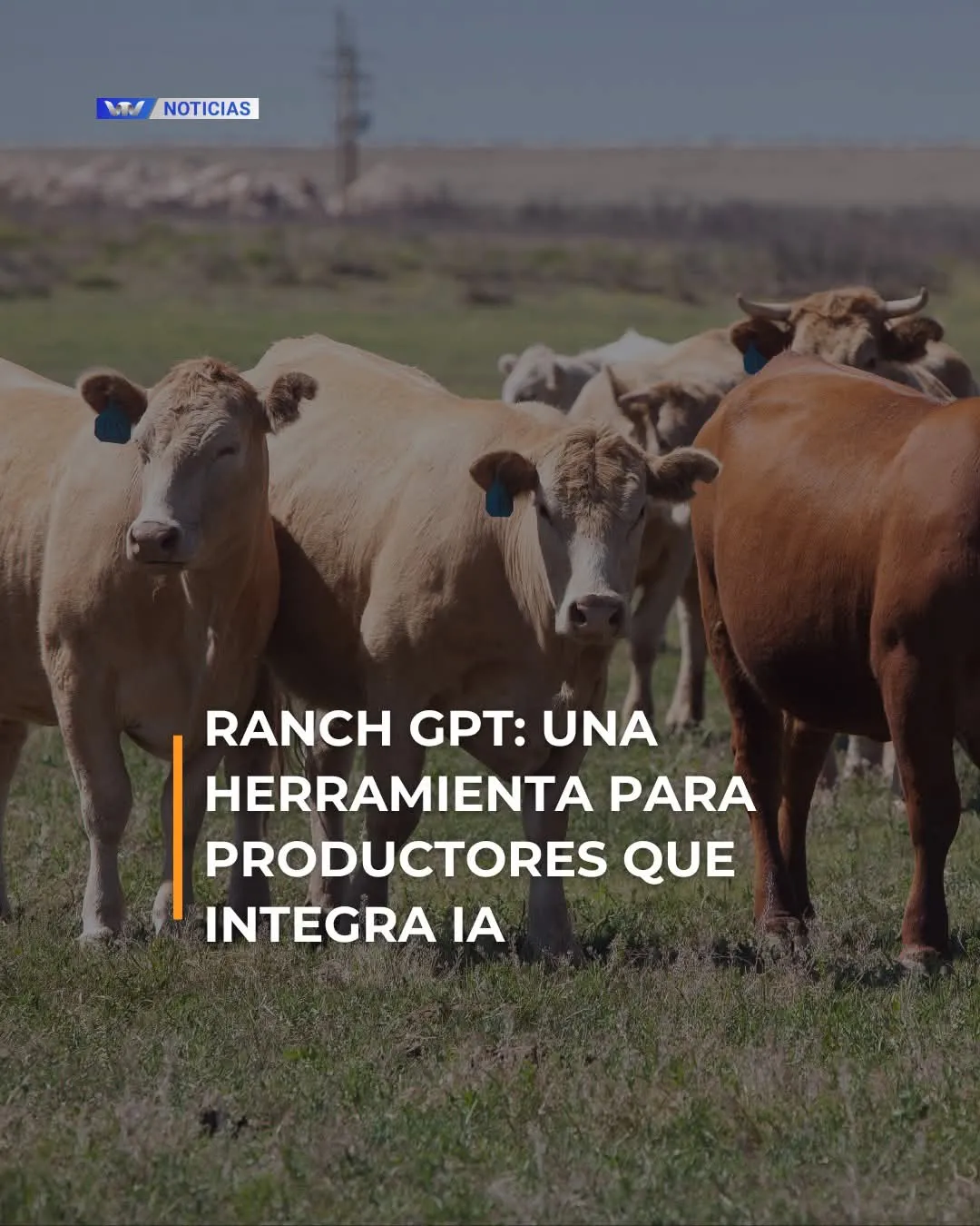 FB_IMG_1770067559764