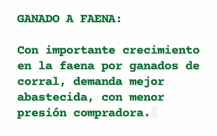 WhatsApp Image 2023-05-16 at 09.05.29 (1)