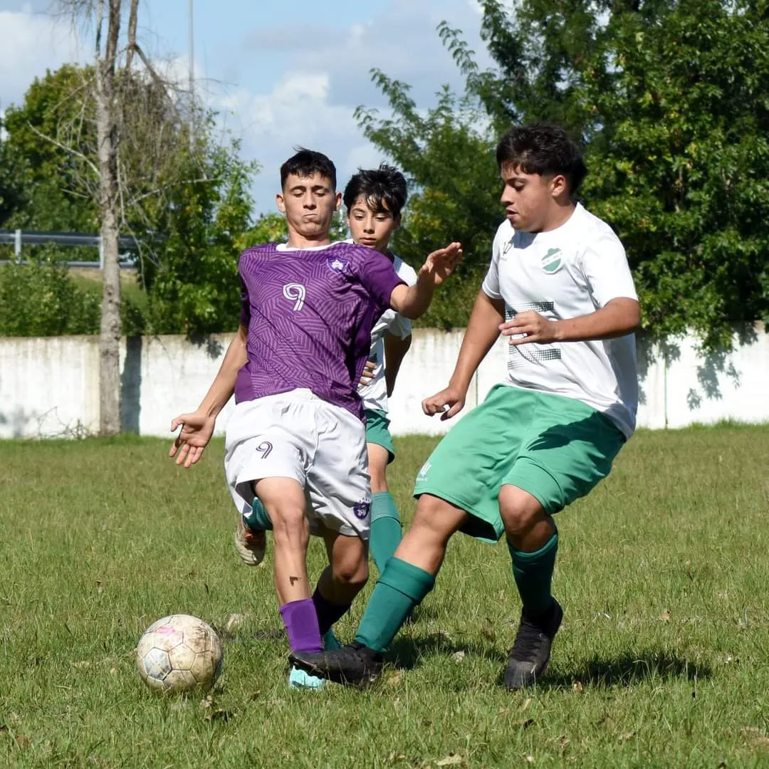 FB_IMG_1712617288062