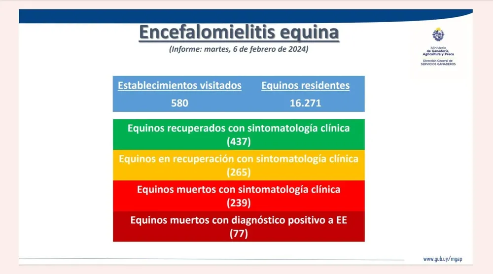 WhatsApp Image 2024-02-06 at 15.40.45 (1)