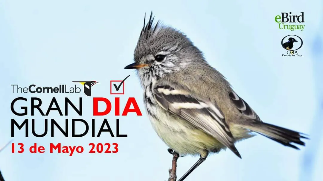 WhatsApp Image 2023-05-12 at 17.30.42