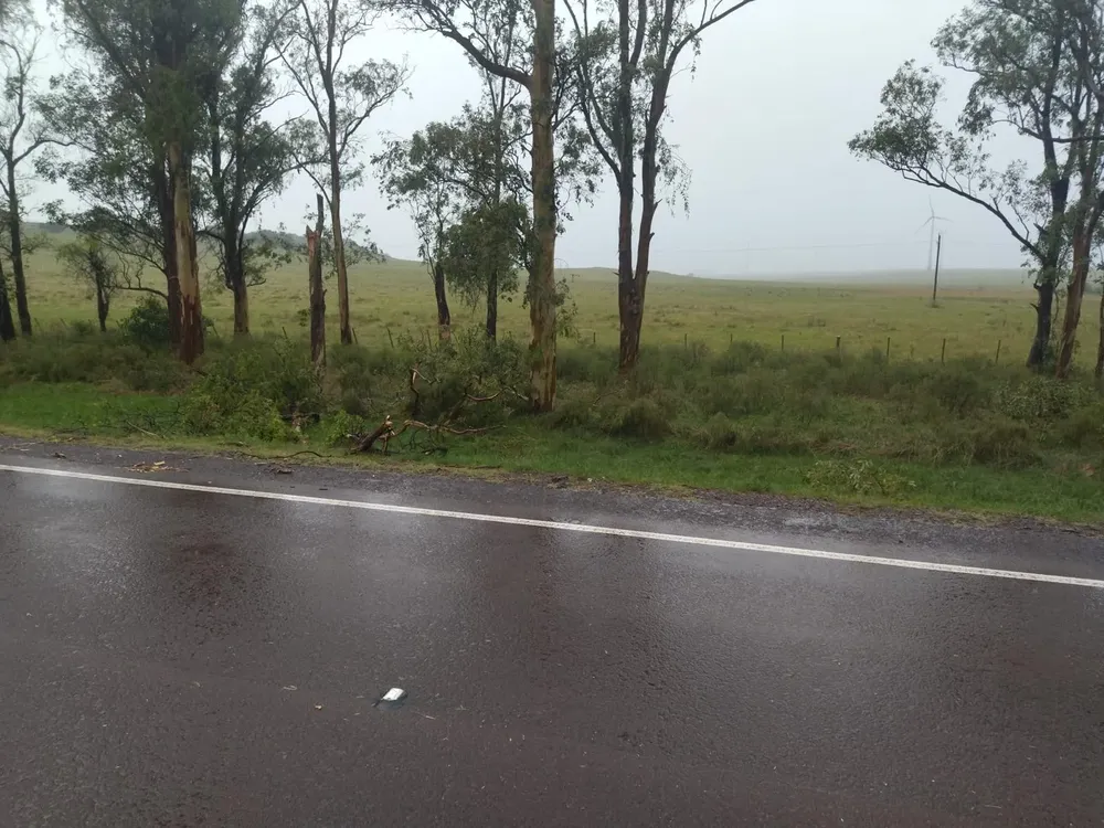 WhatsApp Image 2024-03-14 at 16.02.37 (1)