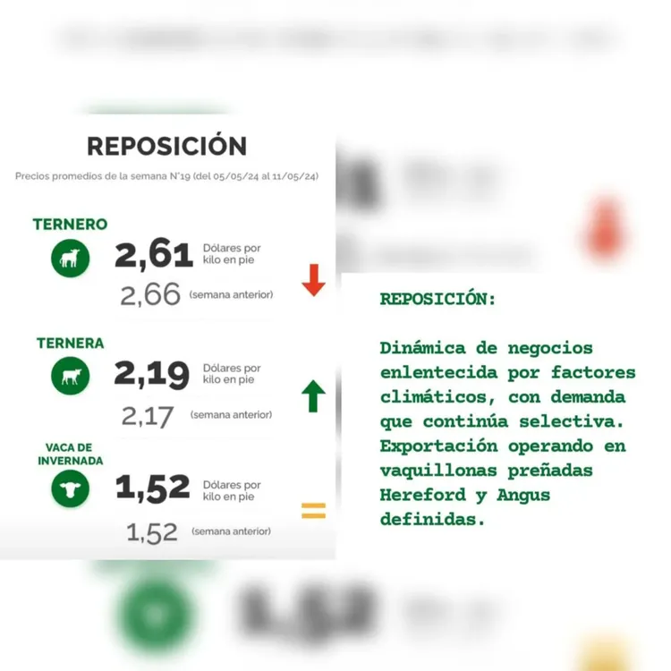 WhatsApp Image 2024-05-14 at 13.51.10