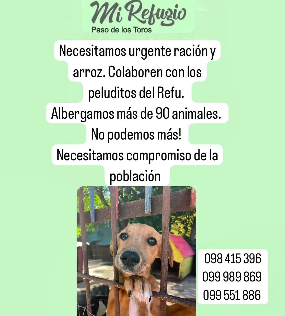 447432866_486735037038927_2941788015949137225_n