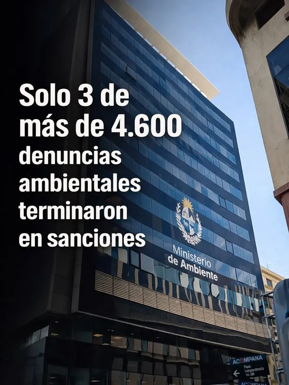 FB_IMG_1775424721292